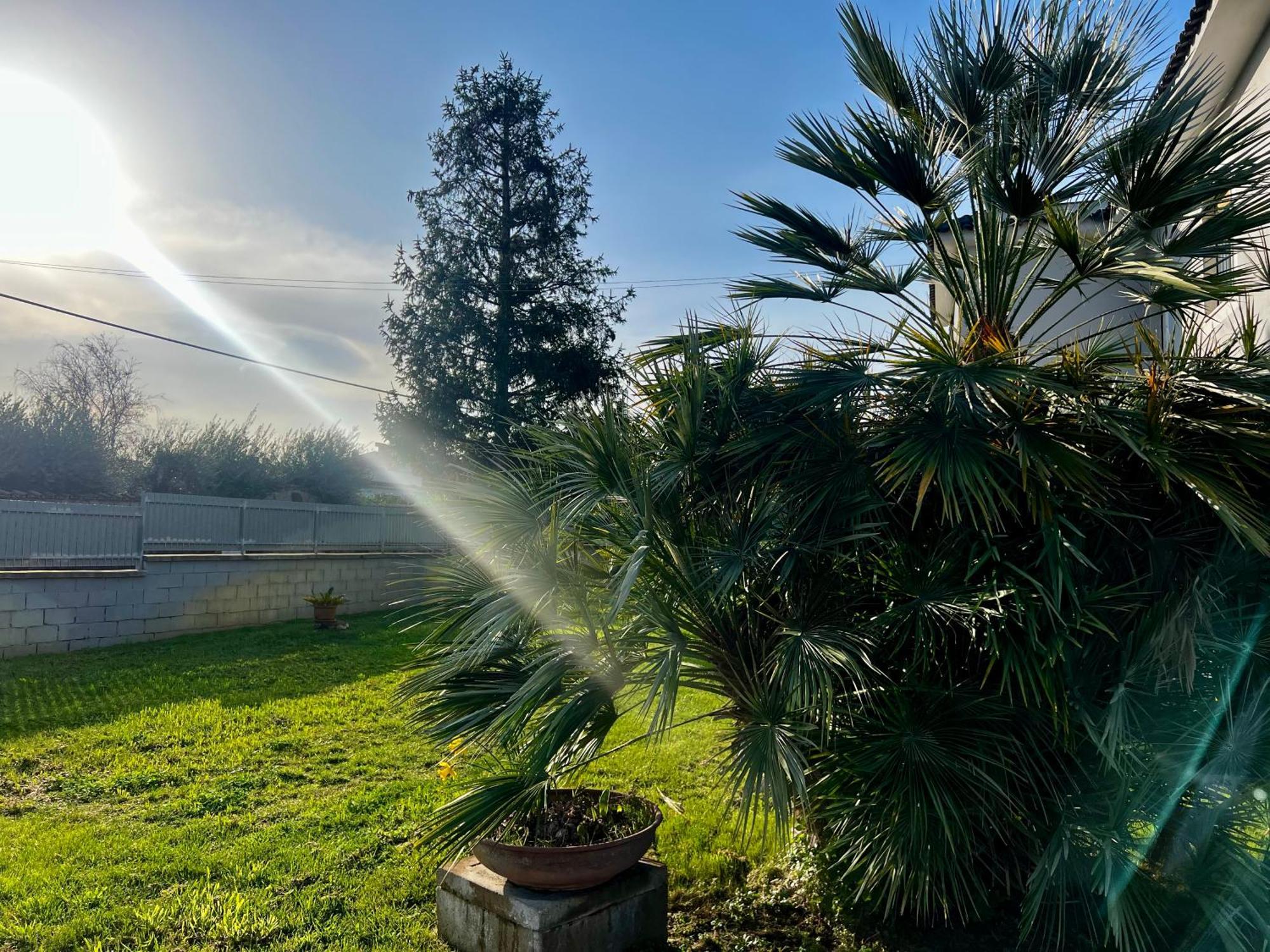 A Casa Di Marco Guesthouse - Apt Di Ciampino E Stazione Per Roma Marino Exterior foto